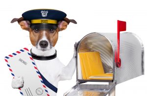 Dog Postman